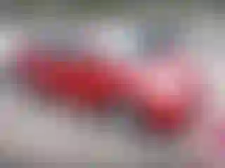 Vehicle Image- 2008 Toyota Prius