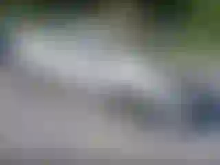 Vehicle Image- 2008 Toyota Prius