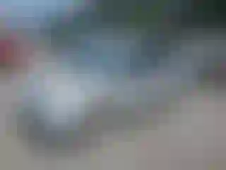 Vehicle Image- 2008 Toyota Prius