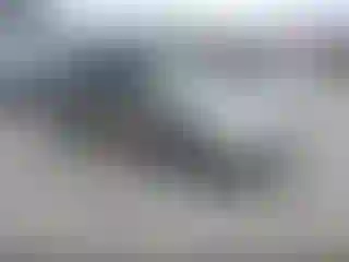 Vehicle Image- 2008 Toyota Prius