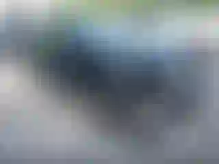 Vehicle Image- 2008 Toyota Prius
