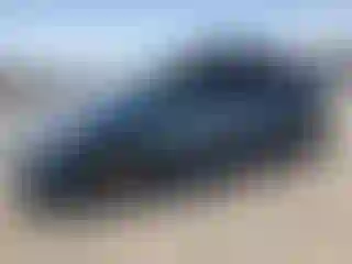 Vehicle Image- 2008 Toyota Prius