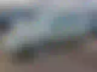 Vehicle Image- 2008 Toyota Prius