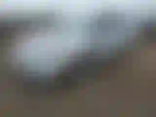 Vehicle Image- 2008 Toyota Prius