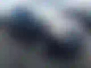 Vehicle Image- 2009 Toyota Prius