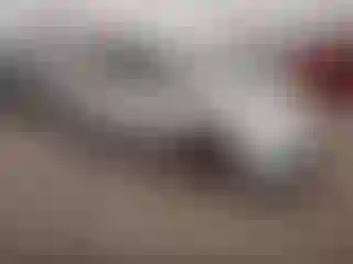 Vehicle Image- 2004 Toyota Prius