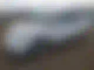 Vehicle Image- 2005 Toyota Prius