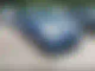 Vehicle Image- 2005 Toyota Prius