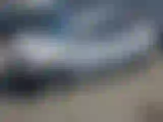 Vehicle Image- 2005 Toyota Prius