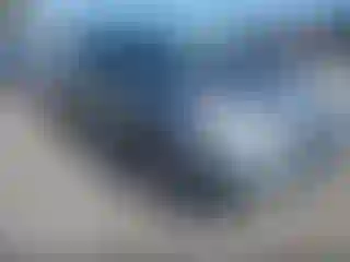 Vehicle Image- 2005 Toyota Prius