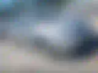 Vehicle Image- 2005 Toyota Prius