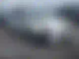 Vehicle Image- 2005 Toyota Prius
