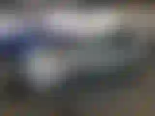 Vehicle Image- 2006 Toyota Prius