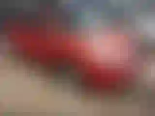 Vehicle Image- 2006 Toyota Prius