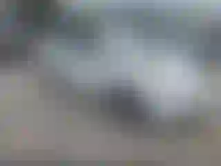 Vehicle Image- 2006 Toyota Prius