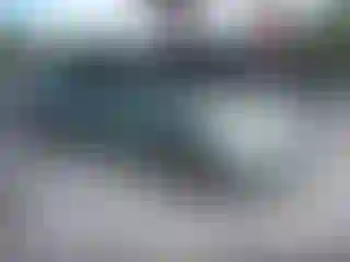 Vehicle Image- 2007 Toyota Prius