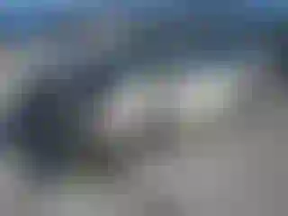 Vehicle Image- 2007 Toyota Prius
