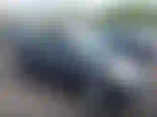 Vehicle Image- 2007 Toyota Prius