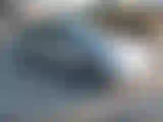 Vehicle Image- 2007 Toyota Prius