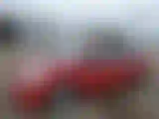 Vehicle Image- 2008 Toyota Prius