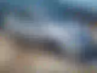 Vehicle Image- 2008 Toyota Prius