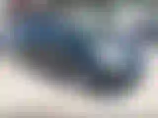 Vehicle Image- 2008 Toyota Prius