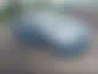 Vehicle Image- 2008 Toyota Prius