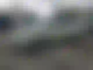 Vehicle Image- 2008 Toyota Prius