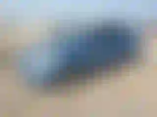 Vehicle Image- 2008 Toyota Prius