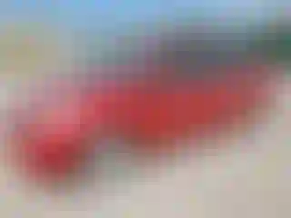 Vehicle Image- 2009 Toyota Prius