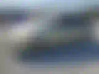 Vehicle Image- 2009 Toyota Prius
