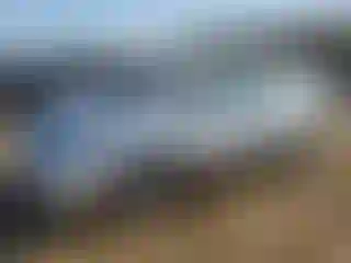 Vehicle Image- 2009 Toyota Prius