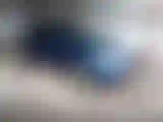 Vehicle Image- 2009 Toyota Prius