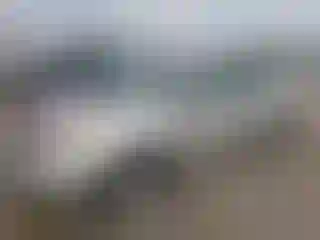 Vehicle Image- 2004 Toyota Prius