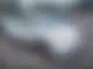 Vehicle Image- 2004 Toyota Prius