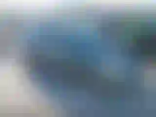 Vehicle Image- 2004 Toyota Prius