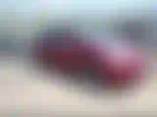 Vehicle Image- 2005 Toyota Prius