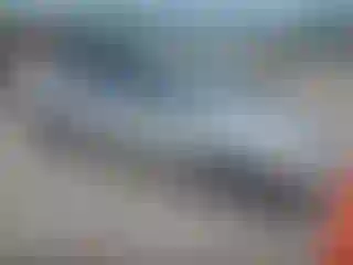 Vehicle Image- 2005 Toyota Prius