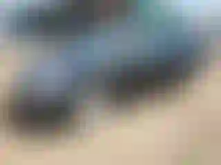 Vehicle Image- 2005 Toyota Prius