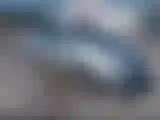 Vehicle Image- 2005 Toyota Prius
