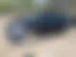 Vehicle Image- 2005 Toyota Prius
