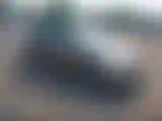 Vehicle Image- 2005 Toyota Prius