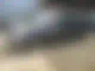 Vehicle Image- 2006 Toyota Prius