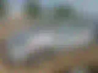 Vehicle Image- 2007 Toyota Prius