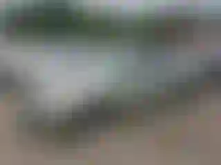 Vehicle Image- 2007 Toyota Prius