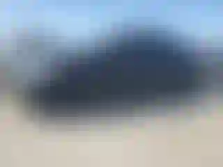 Vehicle Image- 2007 Toyota Prius