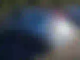 Vehicle Image- 2007 Toyota Prius