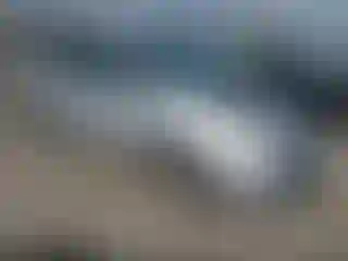 Vehicle Image- 2007 Toyota Prius