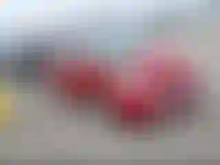 Vehicle Image- 2007 Toyota Prius