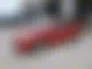 Vehicle Image- 2007 Toyota Prius